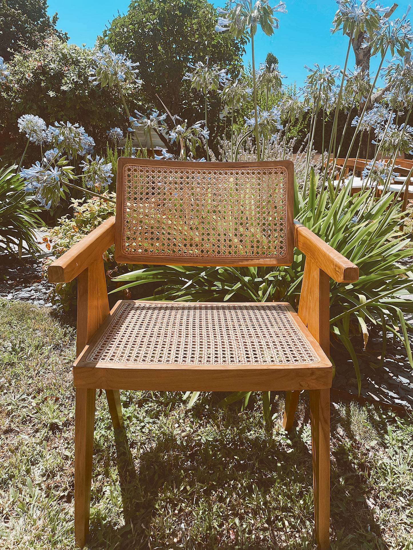 Fauteuil Bali Teck & cannage